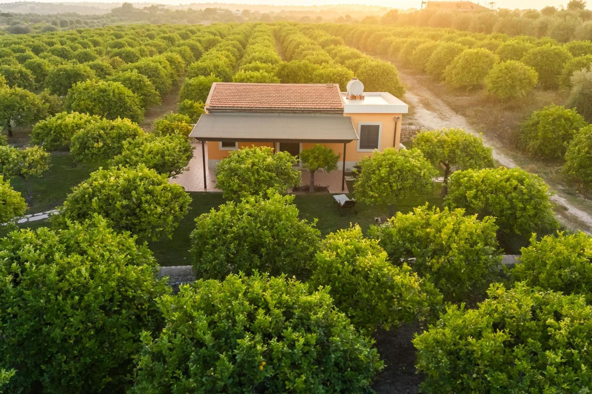 Fiore Di Vendicari B&B - Sicilian Charme, Lemon Grove And Sea Noto Exteriör bild